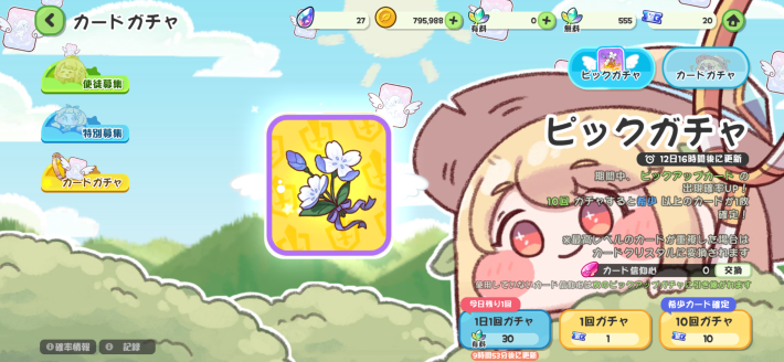 カードの種類と使い方の画像