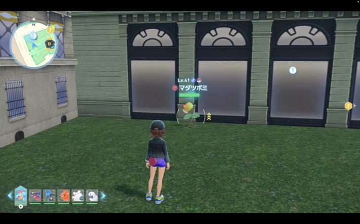 ポケモンzaのマダツボミ現地