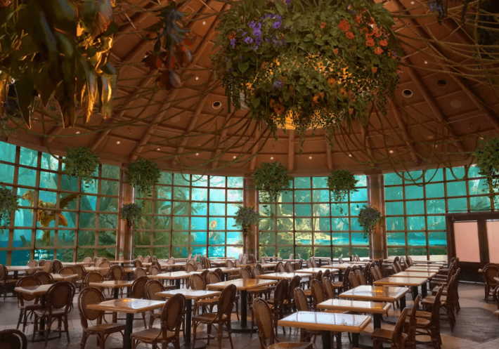 キャプション５