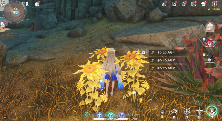 キンセンカルマ