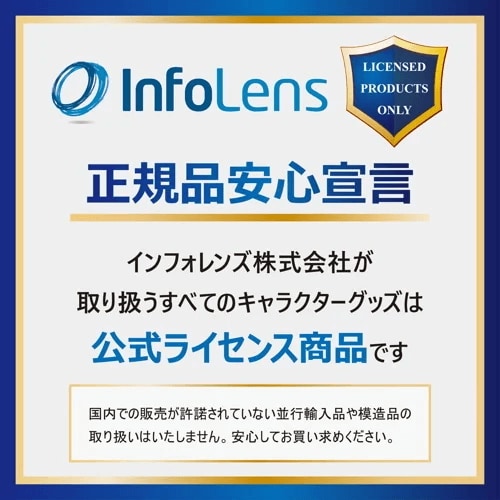 キャプション１１