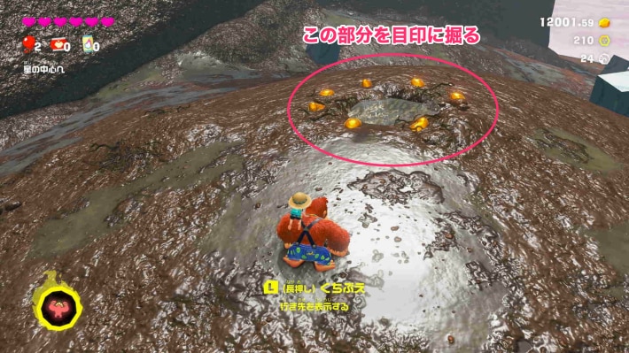 現地画像