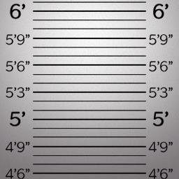 範馬刃牙の背景1