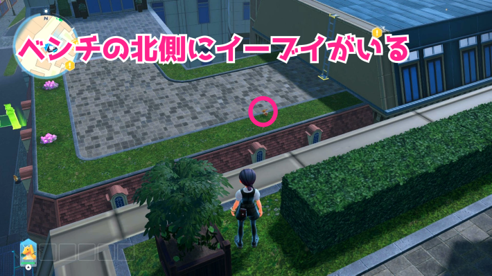 ローズ８番地のイーブイ