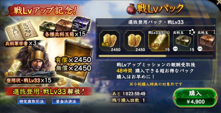 戦Lvパック
