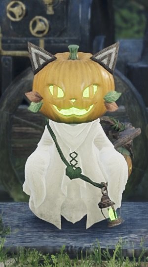 モンハンワイルズのゴーストネコ前