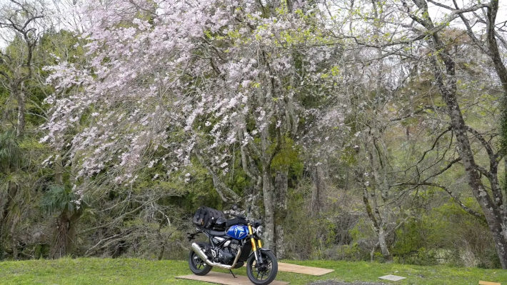 暑くて外に出られないなら家の中で『風雨来記5』をやろうの画像