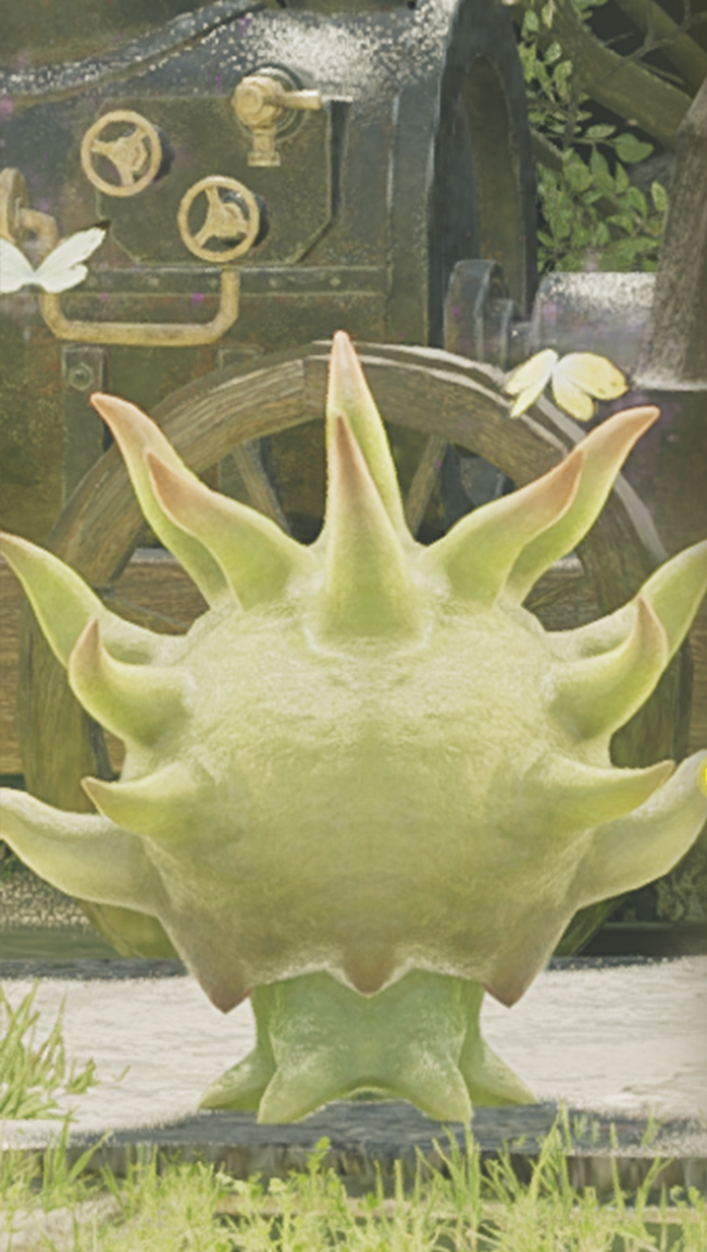 モルボルバルブα_背面