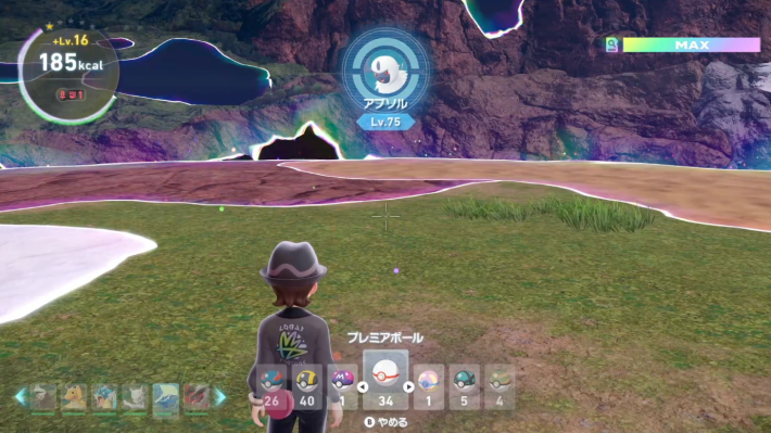 異次元暴走メガシンカポケモン