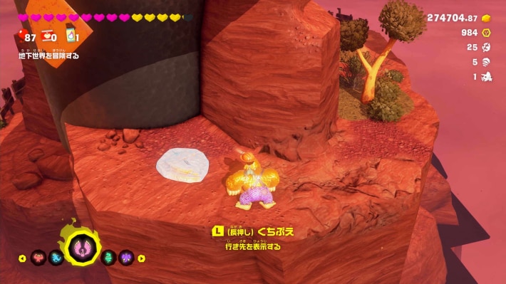 現地画像