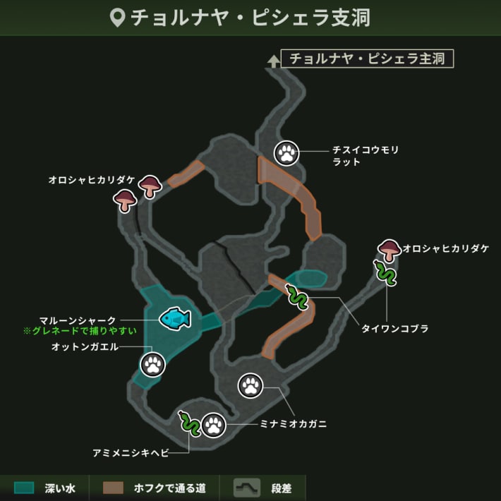 チョルナヤ・ピシェラ支洞_動植物