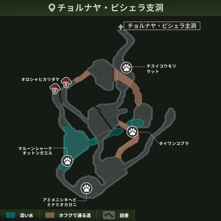 チョルナヤ・ピシェラ支洞_動植物