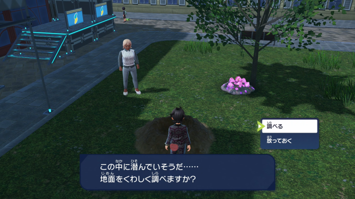 ポケモンZAの庭を荒らした犯人は？の攻略