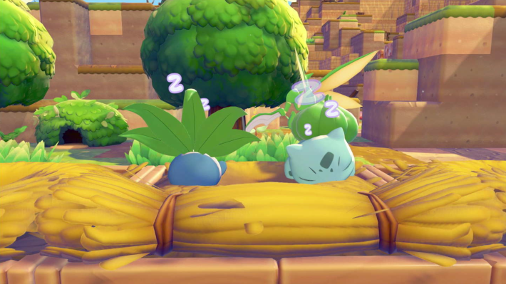 큰 잠자리에서 사이좋게 쿨쿨