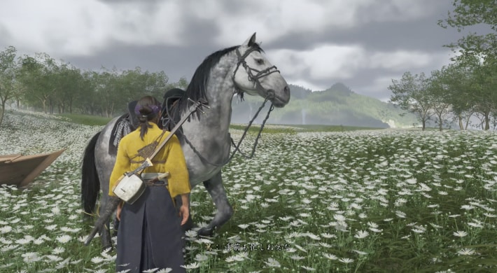 ゴーストオブヨウテイの斑馬