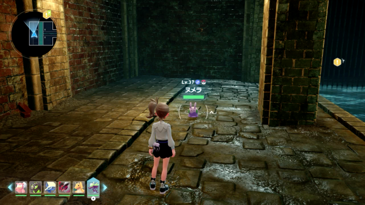 ポケモンZAの地下水道にいるヌメラ