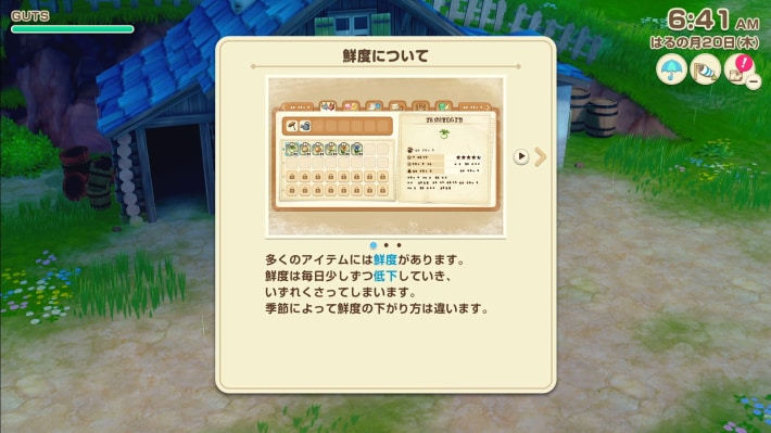 牧場物語 風のグランドバザールの鮮度説明