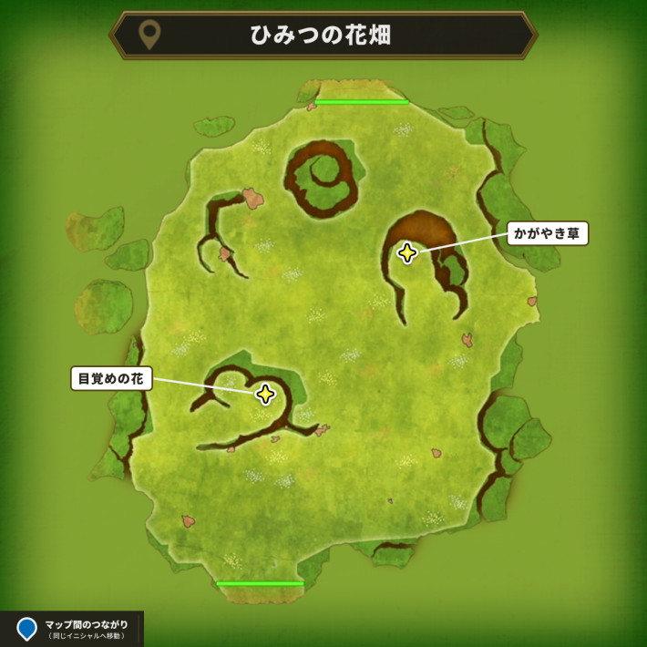 ドラクエ1リメイクのひみつの花畑のマップ