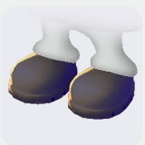 とりつかいの靴