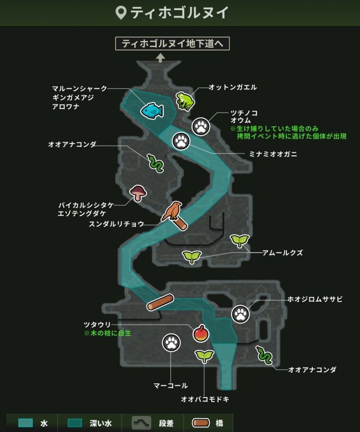 ティホゴルヌイ_動植物