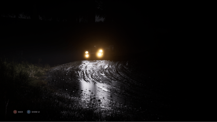 Assetto Corsa Rallyの画像