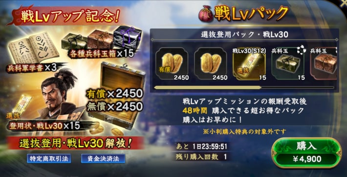 戦Lvパック
