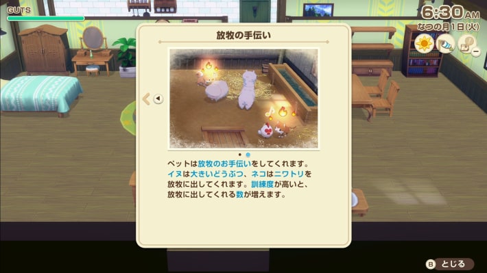 牧場物語 風のグランドバザールのペットが放牧してくれる