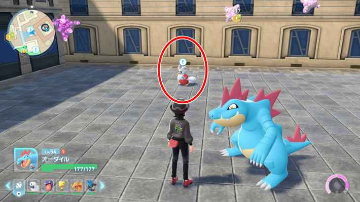 ポケモンZAのデリバード・パニック！の現地