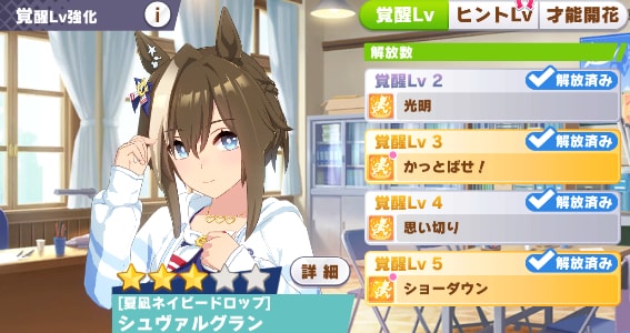 水着シュヴァルの覚醒