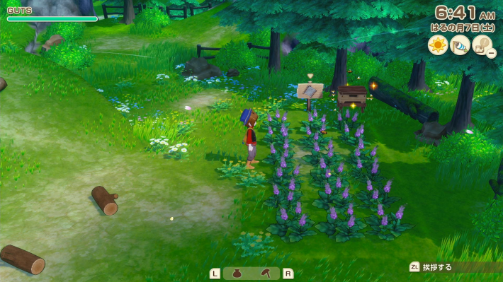 牧場物語風のグランドバザールの光る養蜂箱