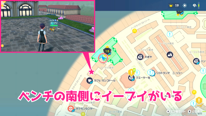 ワイルドゾーン18近くのイーブイ