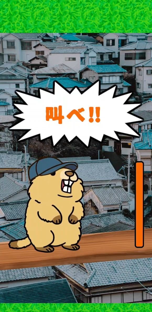 叫べマーモット！俺はビーバーじゃねえ！の画像