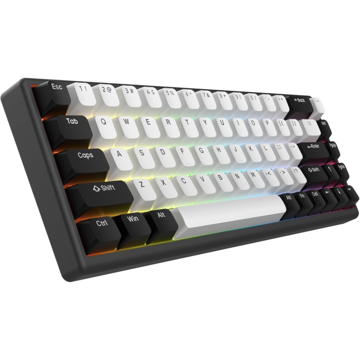 Arbiter Studio Polar 65