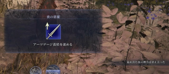 夜の恩寵