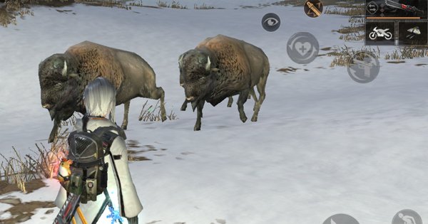 白木の高地のマップ解説 出現モンスターや物資 攻略情報 ゲームウィズ