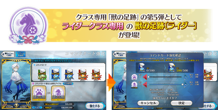 Fate/Grand Order