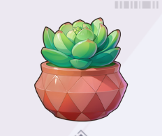 カラフルな鉢の多肉植物