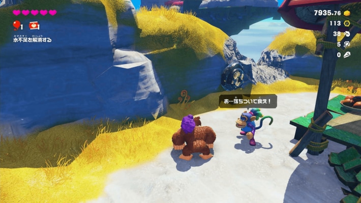 現地画像