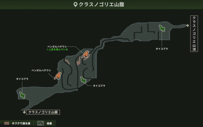 クラスノゴリエ山腹_動植物
