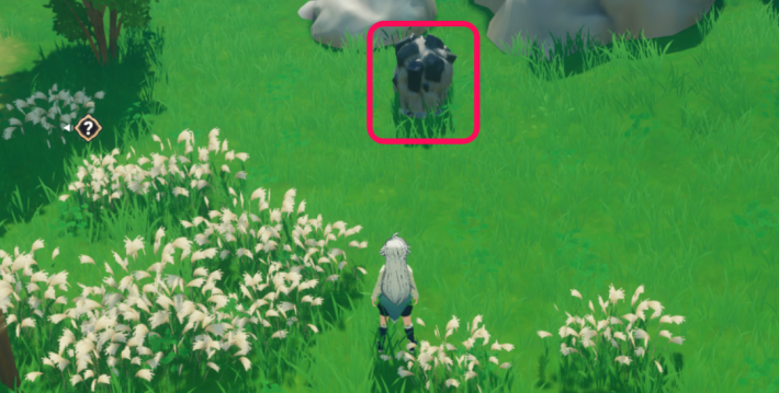 序盤の進め方の画像