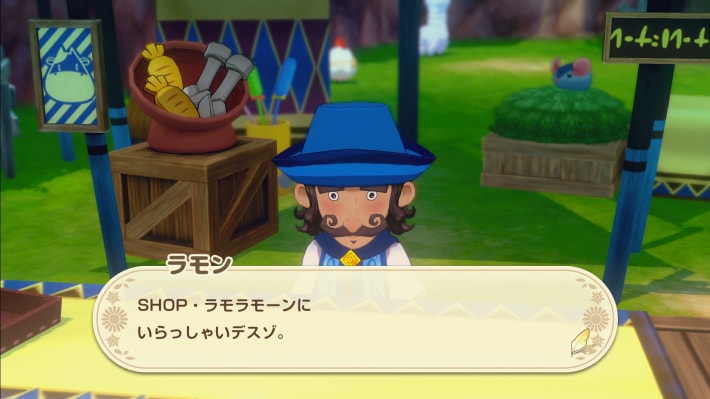 牧場物語 風のグランドバザールの農場のラモラーンの場所