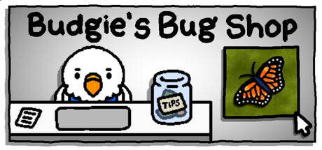 Budgie
