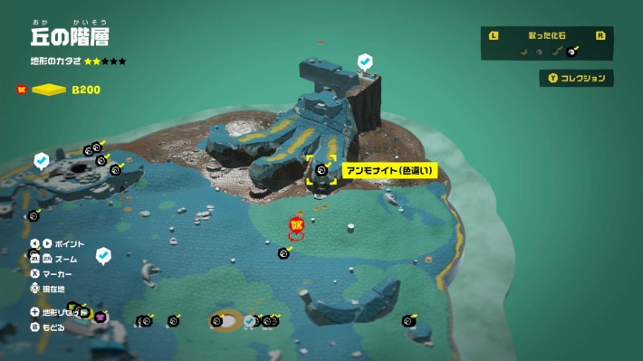 現地画像