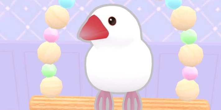 【10/24 配信開始!】『しあわせ文鳥LIFE』のゲーム概要や公式発表の情報まとめ!手のひらサイズの幸せを楽しむ文鳥育成シミュレーション!の画像