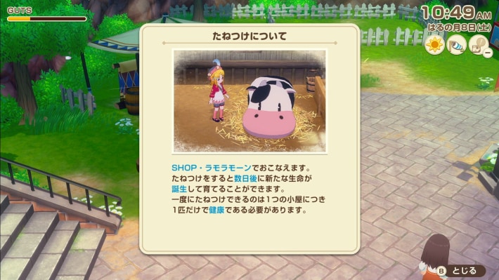 牧場物語 風のグランドバザールのたねつけ