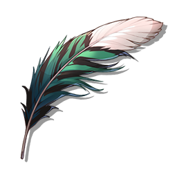 謎の巨鳥の羽根