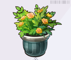 サンフラワーの鉢植え