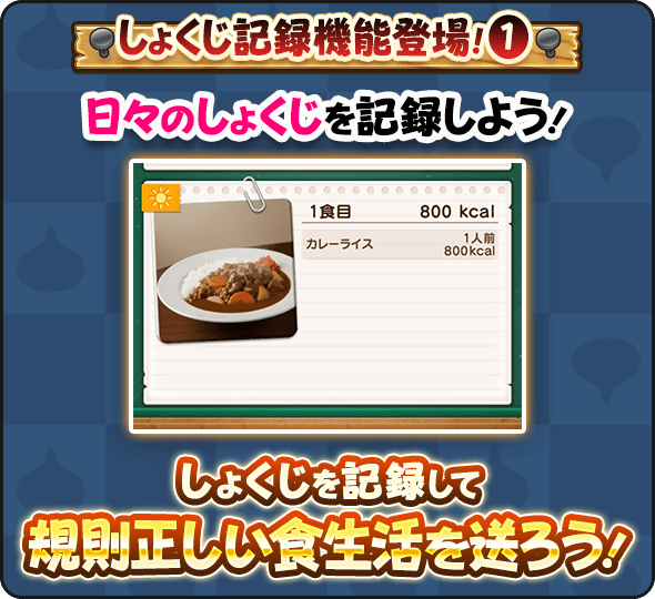 毎日食べた食事を記録しておく