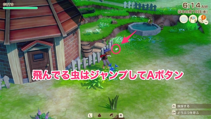 牧場物語 風のグランドバザールの虫の捕まえ方2