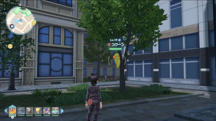 オヤブンコクーン